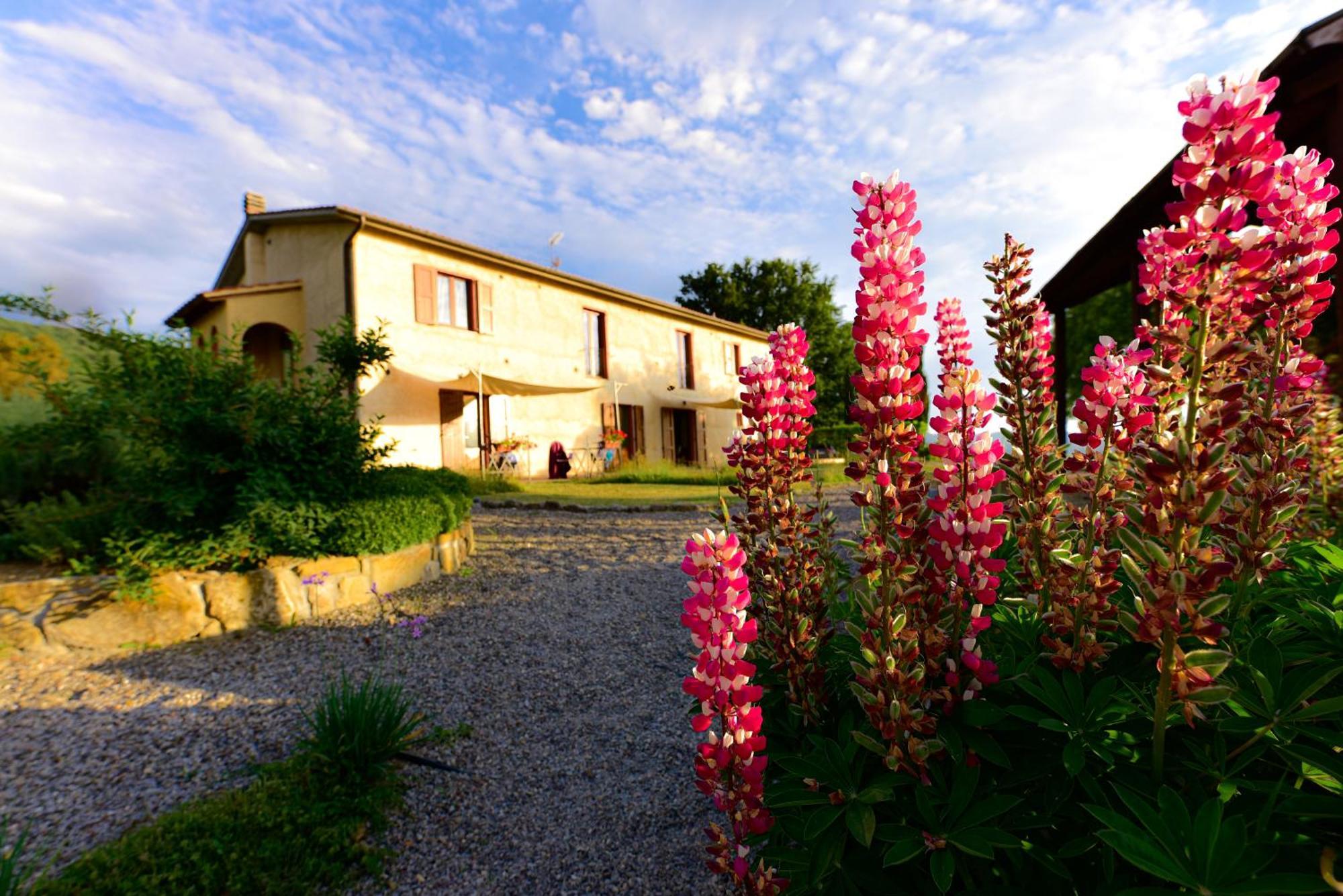 Seggiano Agriturismo Le Casaline מראה חיצוני תמונה