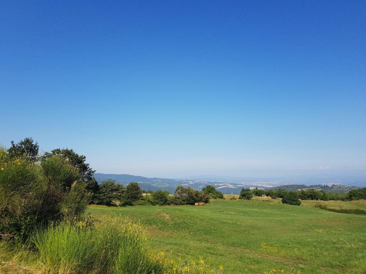 Seggiano Agriturismo Le Casaline מראה חיצוני תמונה